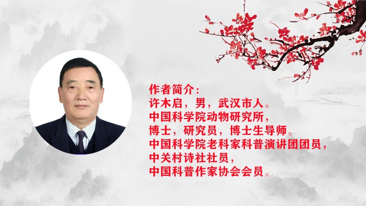 北京启航朗诵艺术团 ‖【永远的毛泽东 永远的东方红】作者/许木启 合诵/帼英 文锦 刘欣 惠英 范颖 徐燕 李凤 慧莹 视频制作/徐燕（图2）