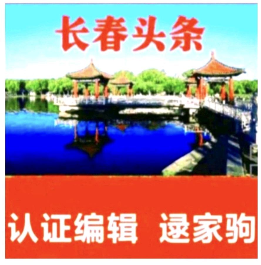 怀念舅舅（图3）