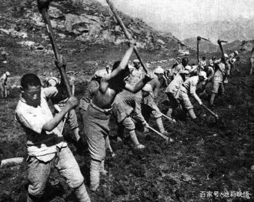刘林丽诗歌作品230《东方巨人毛主席》合诵【五月的鲜花诗歌朗诵艺术团】部分团员 编辑制作刘林丽(图11)