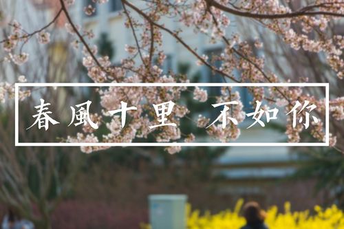 【经典推荐】昨夜天//烟霏霏雪霏霏 岁暮冬寒诗未成（图6）