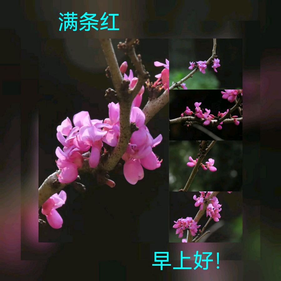 联机全球发布马洪武作品欣赏（图314）