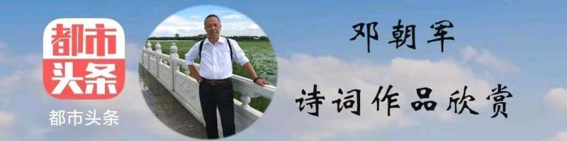 中华诗艺社黑龙江分社微刊第284期（图13）