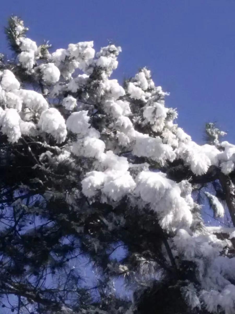 【荣耀中国】南山翁诗词欣赏(图9)