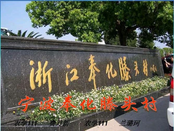【重磅推出】杨武军//浙江七地游有感作品展（图8）