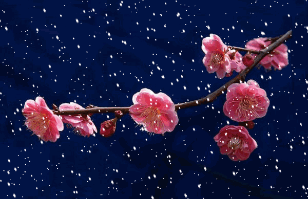 冬至,有大雪(仧乆★原创)(图8)