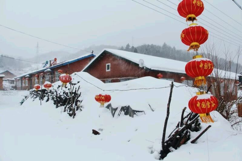《心里的雪》作者/李旭 配乐/紫金茉莉 合诵/铁微/紫金茉莉(图8)