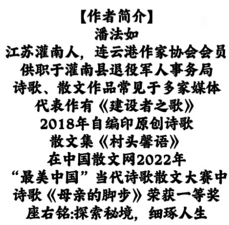 走进亚新钢铁人 作者/看世界（图11）