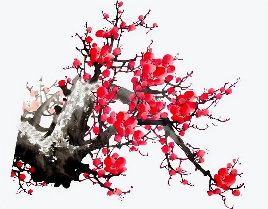 医疗谈说四文（文：黄维钧/孙晶慧孙伟/孙述考）……莲叶之珠文学社（图6）