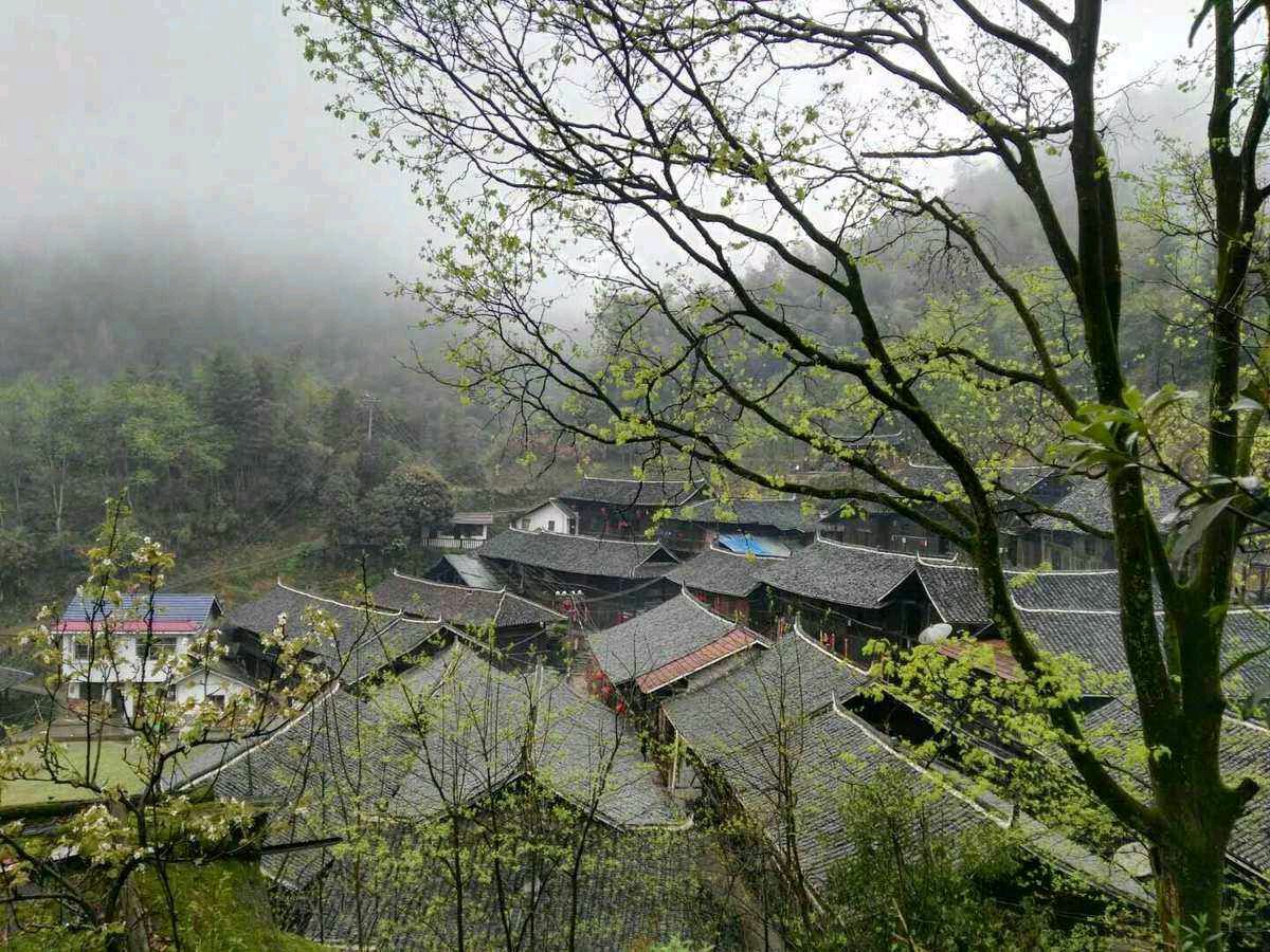 *五律专辑6* 作者：程广权〔江苏〕【冰心文化传媒】（图26）