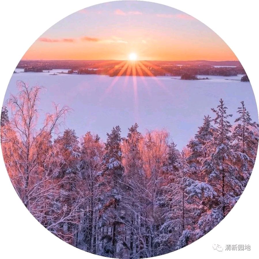 《梦里朝阳》文/林水火（福建）（图3）