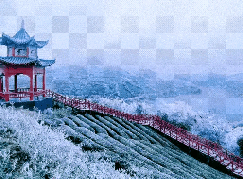 《鉴赏现代名作家古诗合集》作者：刘文波、田歌、深海、郭小林。[中国现代诗歌文化传媒]（图3）