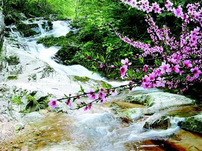 【荣耀中国】韵和周效仁老师诗两首作者/唐桂英（山东）（图3）