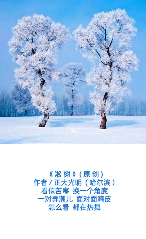 💖 题图微诗一组 - 冬之景-作者 / 正大光明 （ 哈尔滨 ） 京津沪头条（图5）