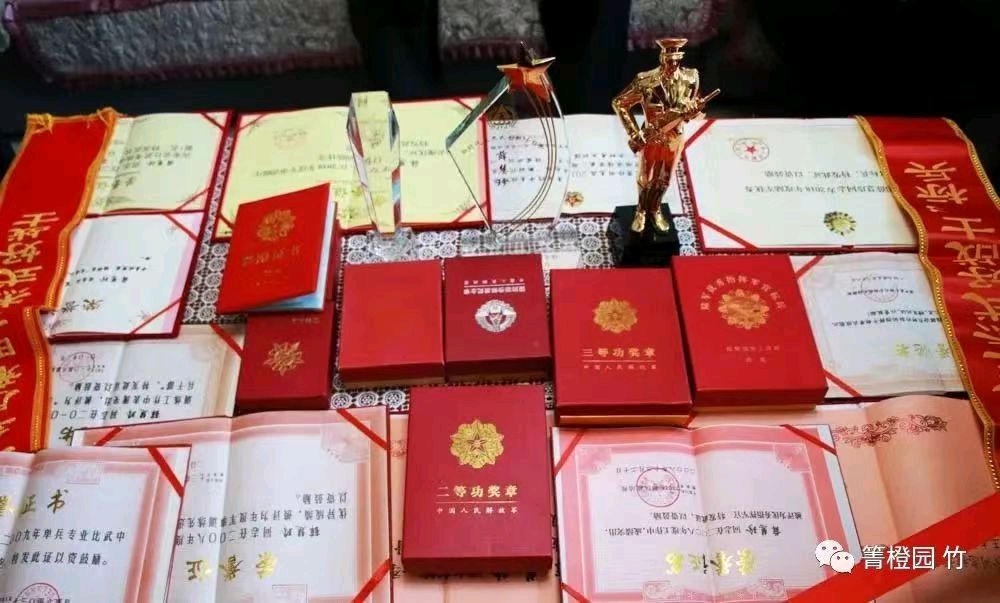 【诗歌鉴赏】荣誉证书 作者/春华秋实（图3）