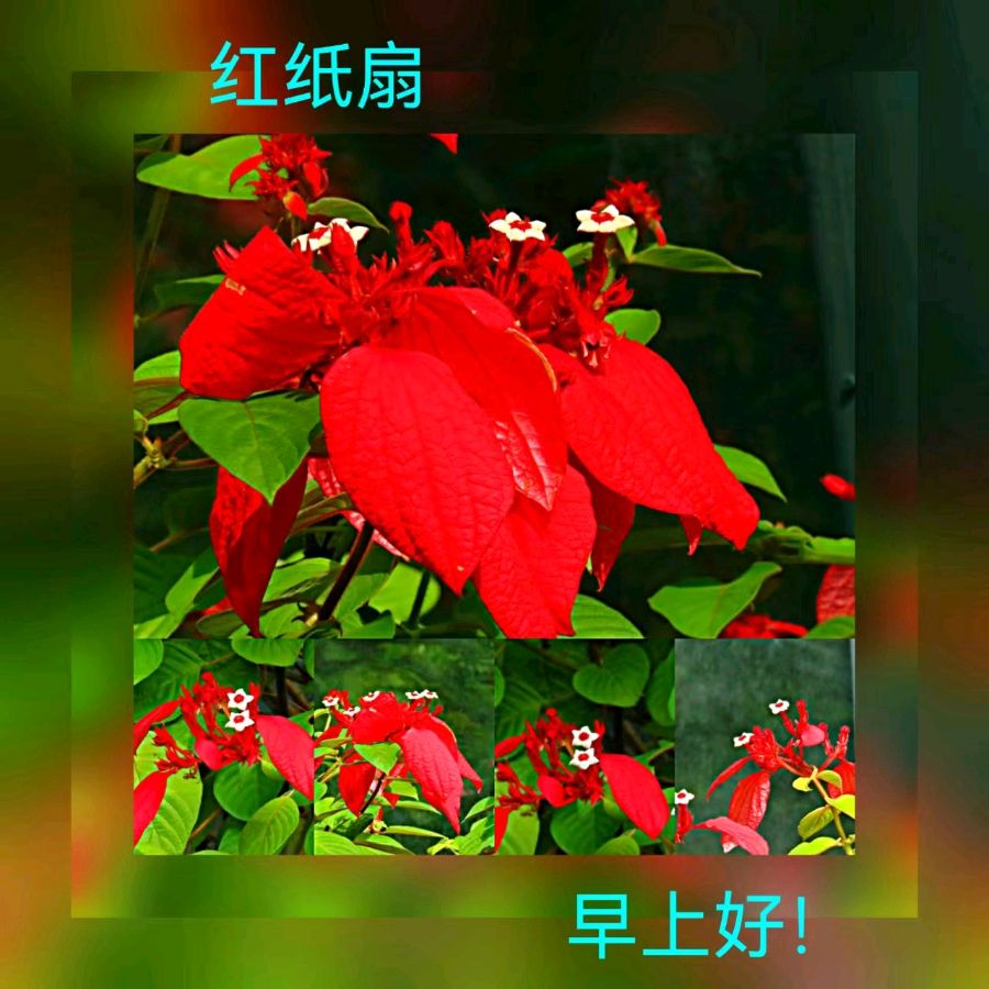 联机全球发布马洪武作品欣赏（图305）