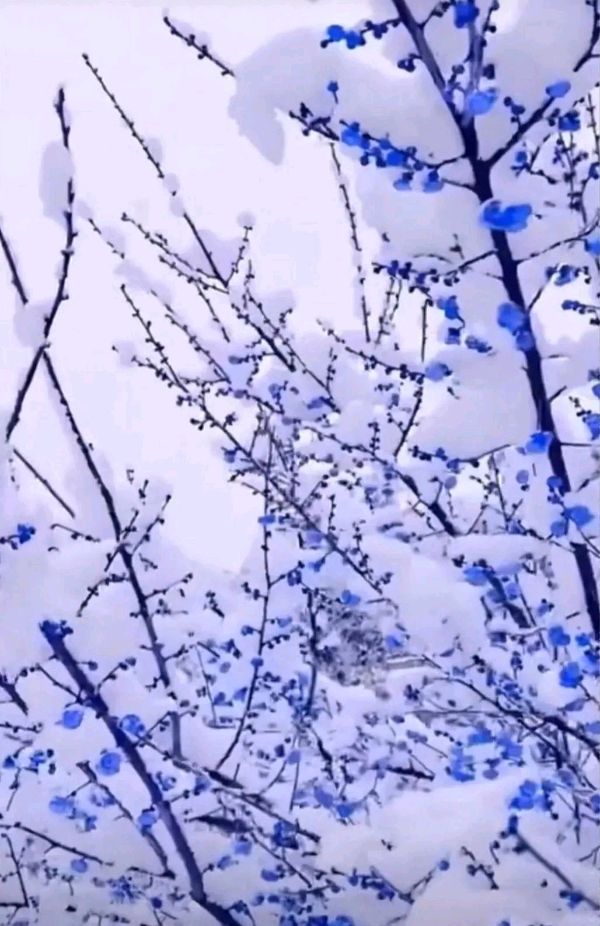 弘华朗诵【相约冬雪】作者/竹园清风（图10）