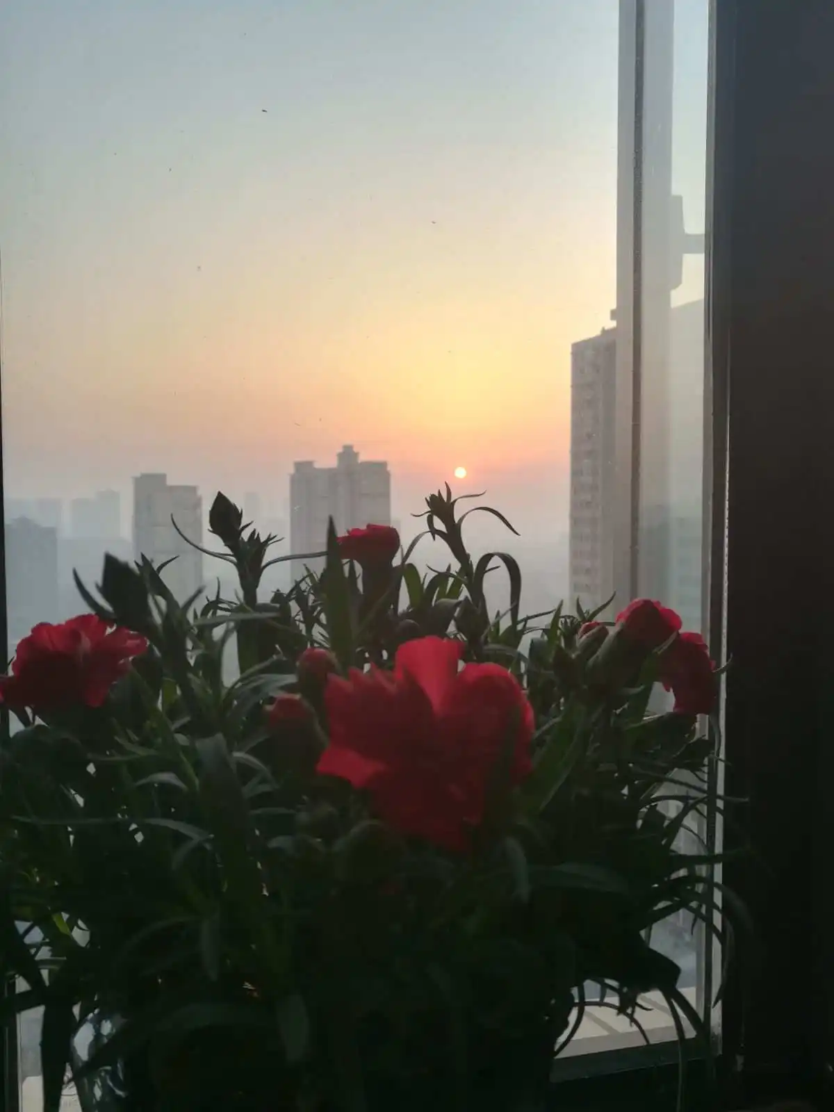 请欣赏四位金牌主播倾情合诵小河老师的作品《早安：2024年元旦》编辑//海纳百川【第7188期】（图3）