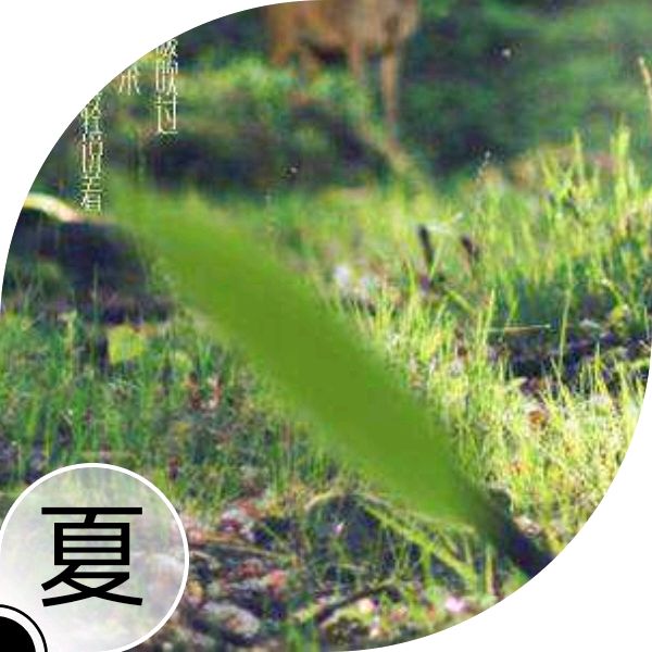 【✍锦园·随記】x50《👁眸·2023》（年终篇）（图5）