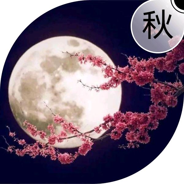 【✍锦园·随記】x50《👁眸·2023》（年终篇）（图6）