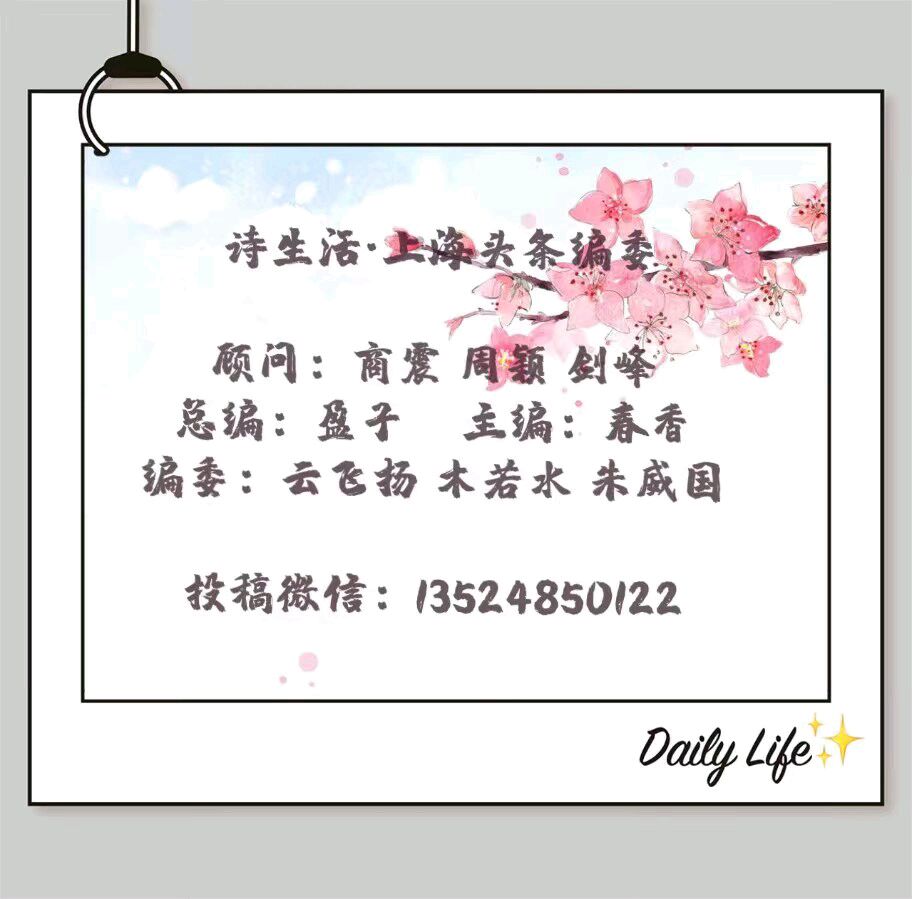 【上海头条】诗生活泉水绿洲微诗专辑（图3）