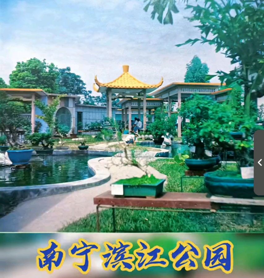 七律五首 作者 隆光诚（广西南宁）【冰心文化传媒】（图7）
