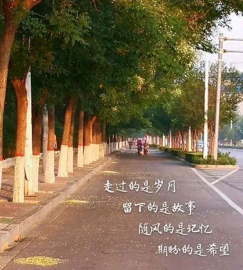 请欣赏乡音老师的作品《岁末的风》主播//岁月静好 海纳百川 编辑//海纳百川【第7192期】（图4）
