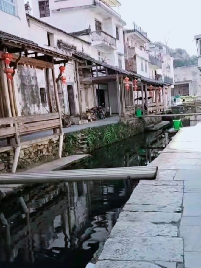《九江文学社：北京头条》洪新爱社长散文《母亲的愿望》【总第1960期】（图3）