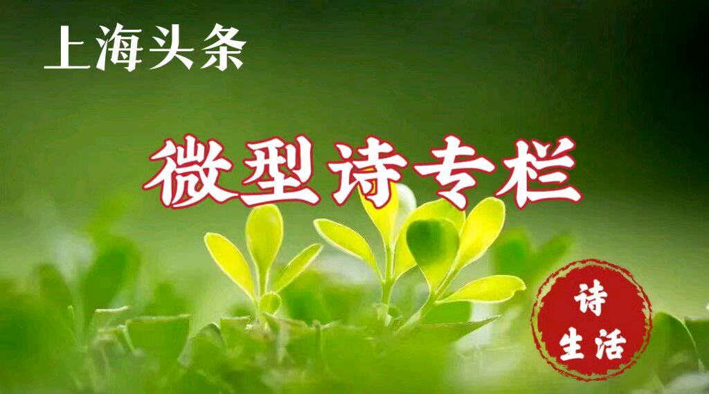 【上海头条】诗生活自拟诗95期