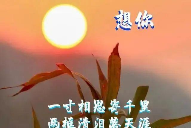 【经典推荐】昨夜天//冬夜听雨 恰有故人心上过（图3）