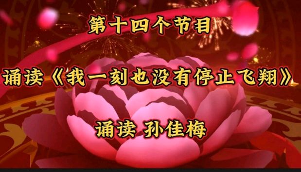 金色岁月爱老敬老公益群庆新年联欢（图28）