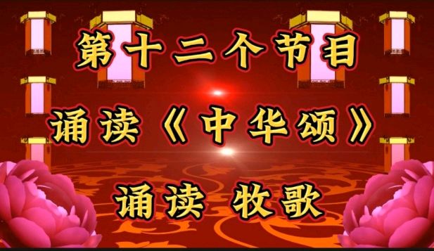 金色岁月爱老敬老公益群庆新年联欢（图24）