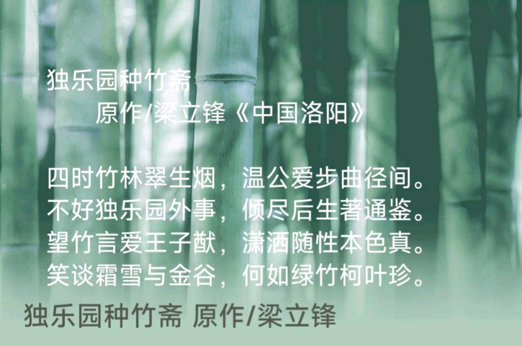 今新调 洛阳伊滨司马光文化节筹备会 原作/梁立锋（图15）