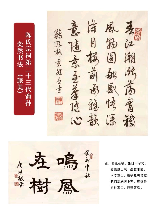 *谱 牒 趣 谈*著名诗人：唐風〔纽约〕【冰心文化传媒】主编冰心〔中国〕（图7）