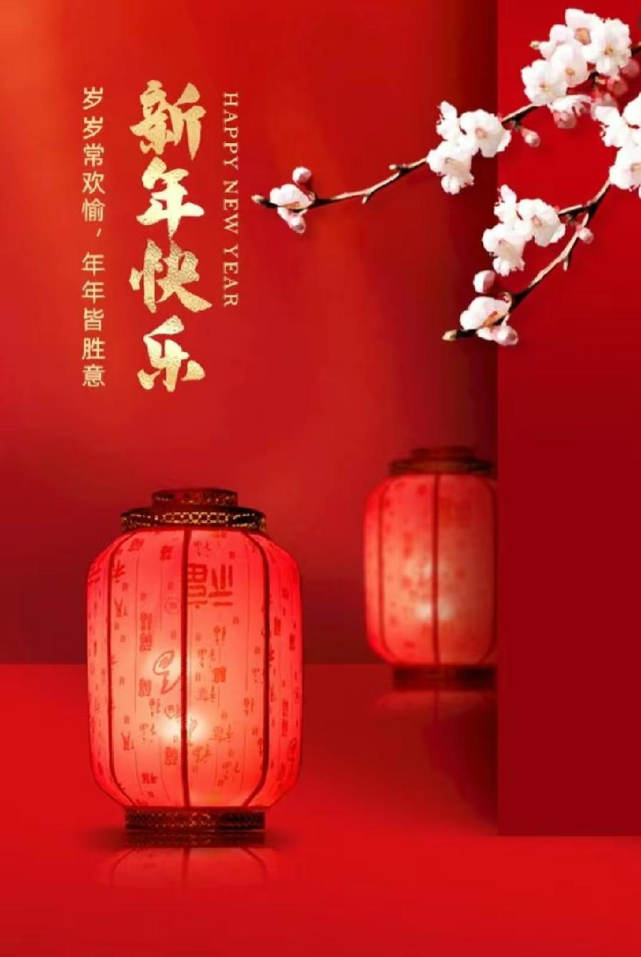 ［迎新年！］（作者：许碧霞/冯清明/陈守邦/刘利佳/张华兴）……莲叶之珠文学社（图8）