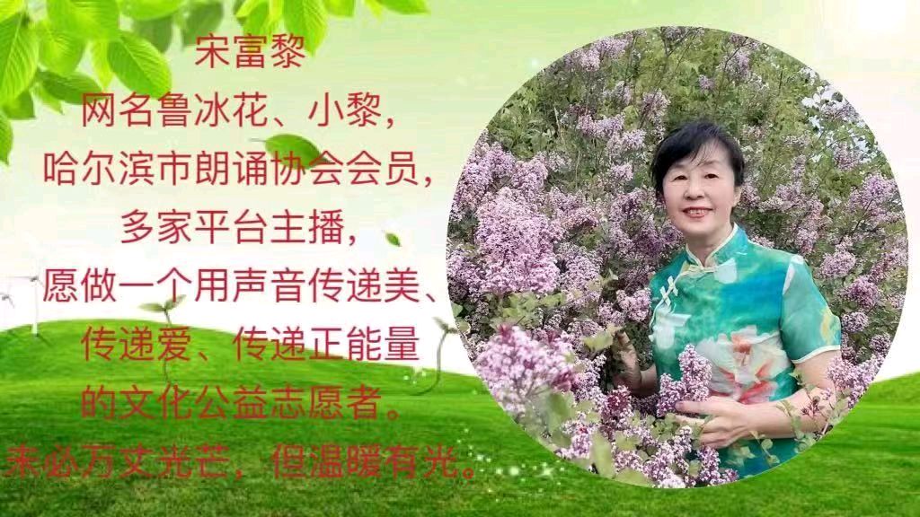 《元旦抒怀》作者:张洪斌【主播:鲁冰花】【中国现代诗歌文化传媒】古韵鉴赏♬（图10）