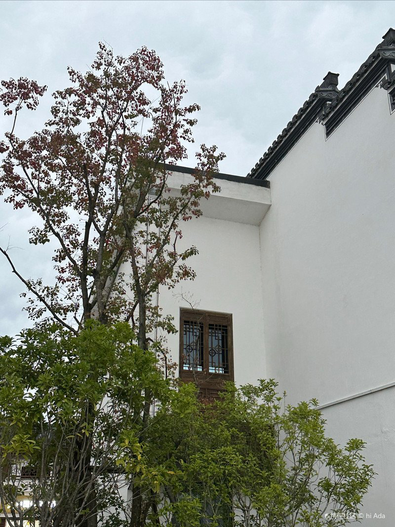 【九月茶韵文学诗社】2023《屯溪古镇情更长》作者朱春年 主播小丽花 编辑制作刘林丽（图6）