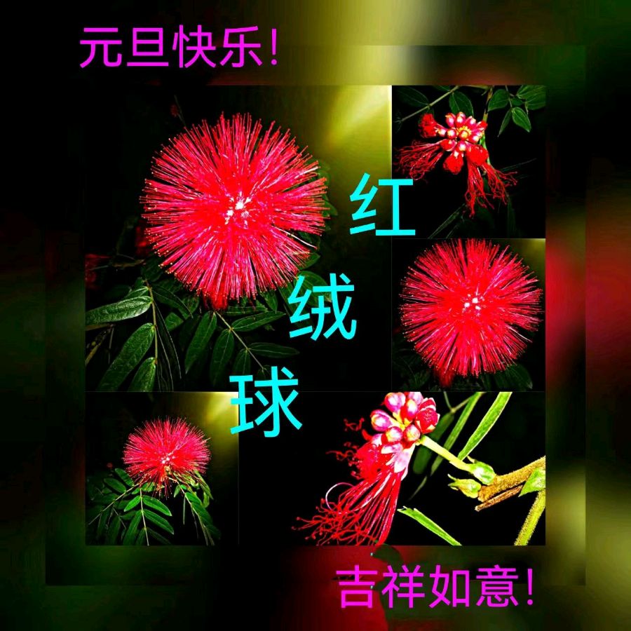 联机全球发布马洪武作品欣赏（图294）