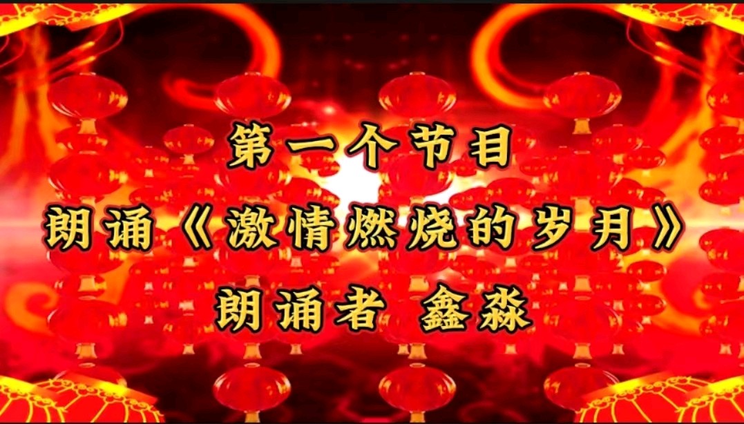 洮南市文化艺术总群迎新春群文艺联欢晚会圆满落幕（图5）