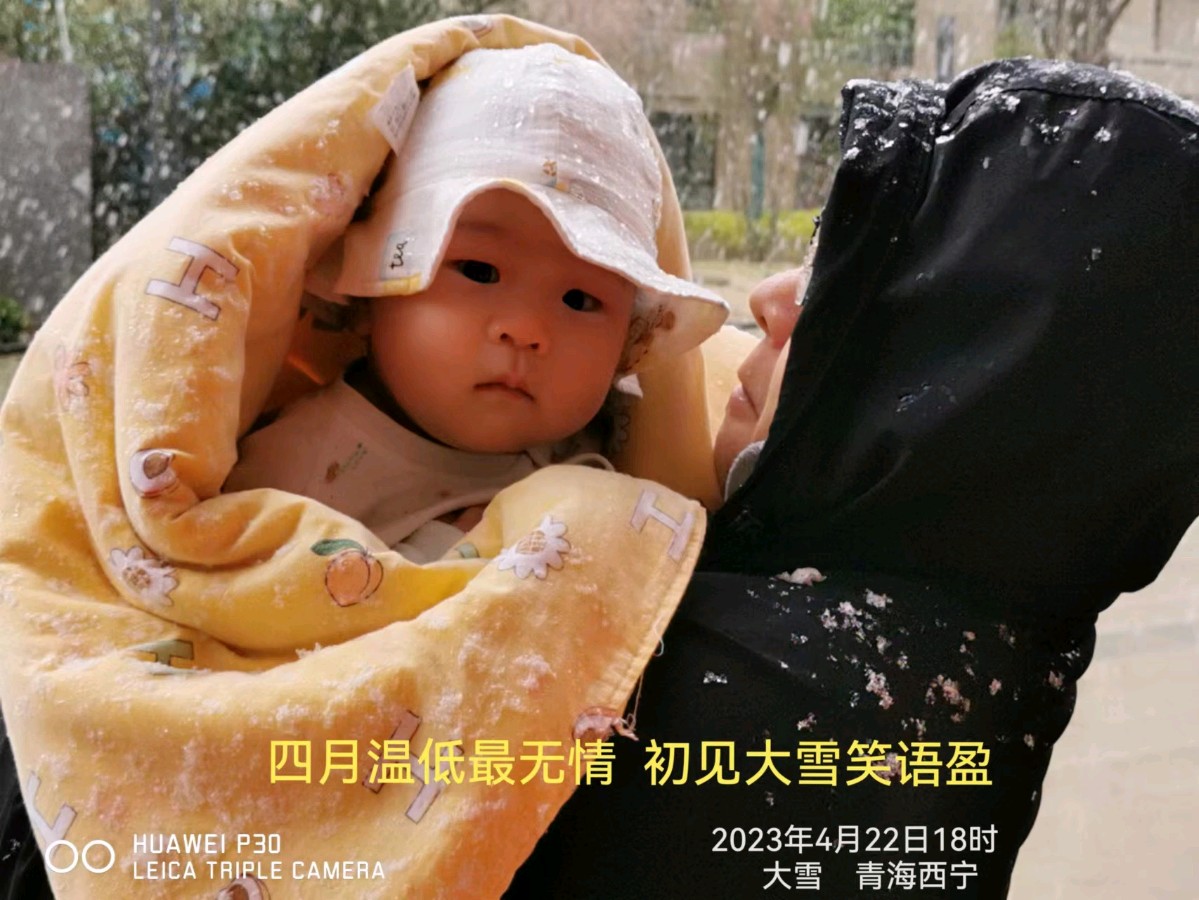 【专题推荐 新年放歌】解寒//感慕退休游“系列作品展”（图19）
