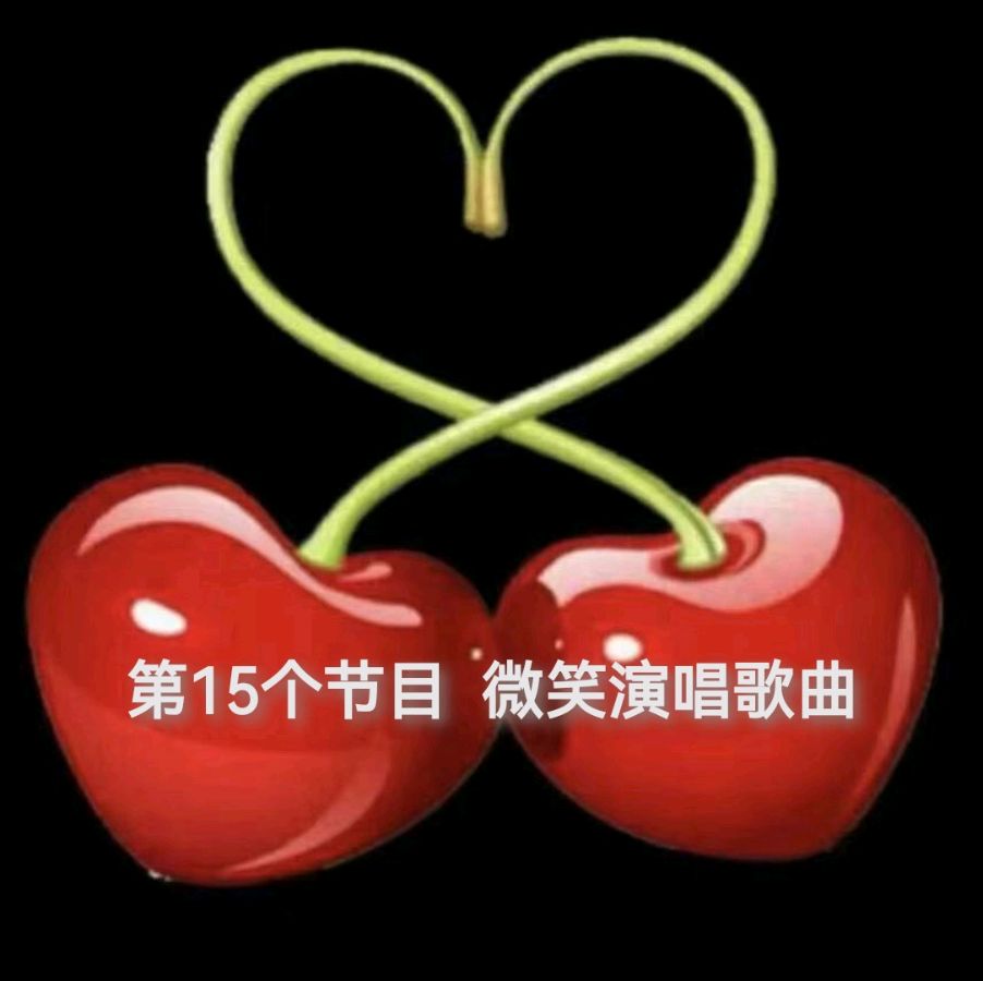 洮南市文化艺术总群迎新春群文艺联欢晚会圆满落幕（图32）