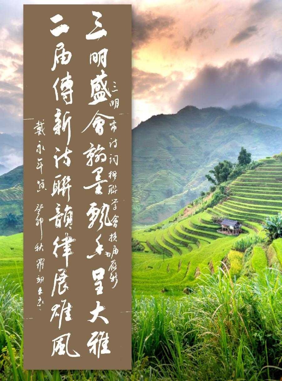 三明诗词楹联学会二代会贺联书法作品展(二)(图12)