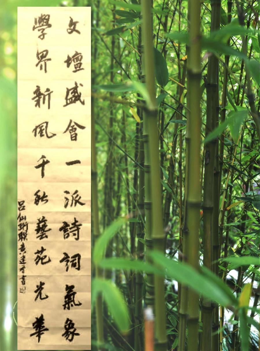 三明诗词楹联学会二代会贺联书法作品展(二)(图43)