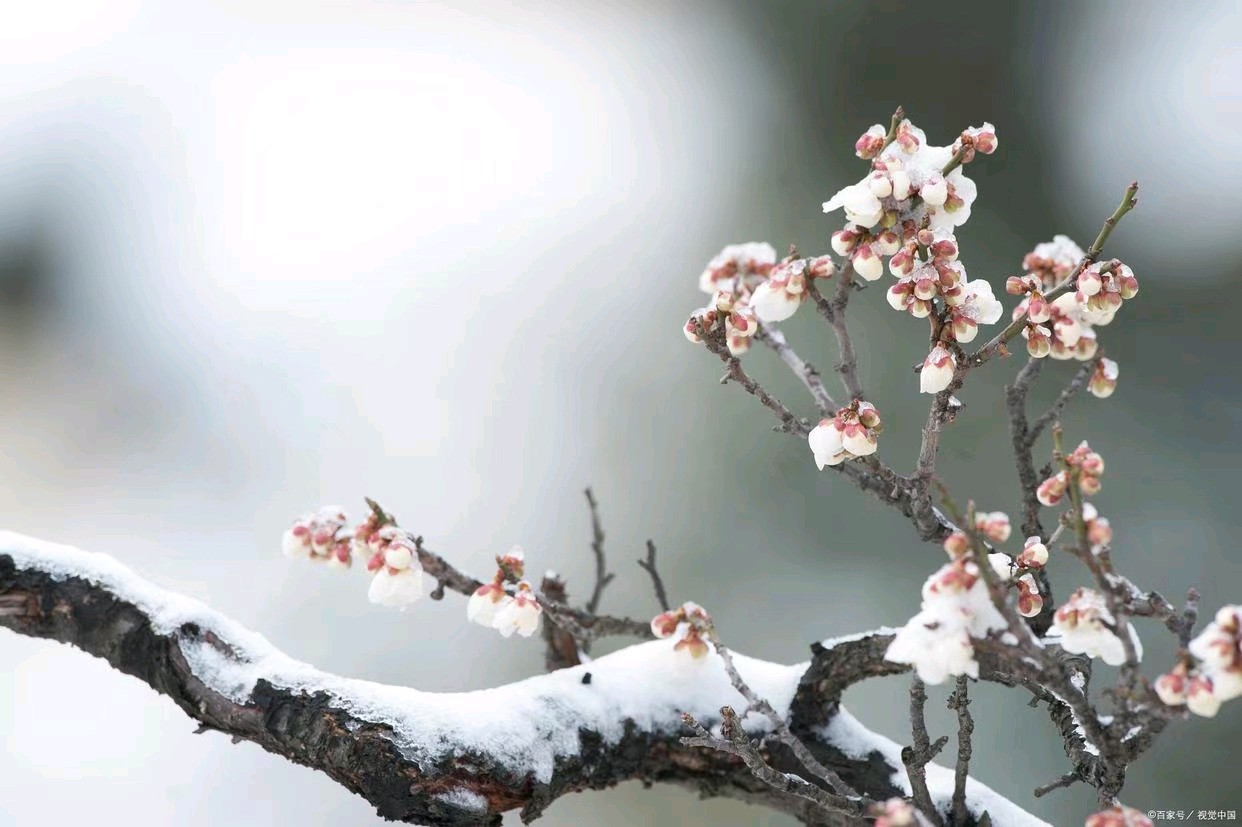 江南诗絮《徐聪智.（钗头凤·元旦自勉）（图5）