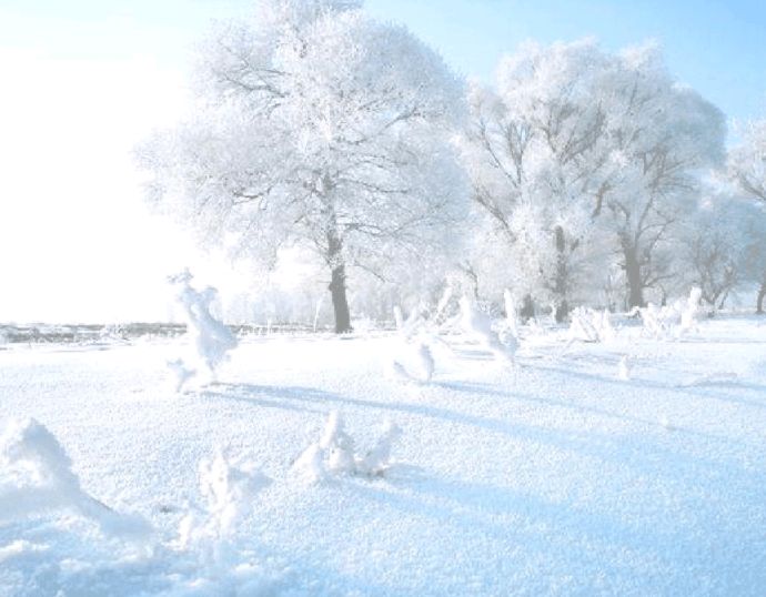 【中国长江文学社】《看雪记》作者 白沙//主播 英利//编辑 岁月静好 第7233期（图3）
