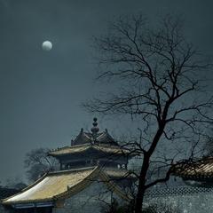《寒夜》作者:春羽【主播:玥儿】【桃源国际诗歌文化传媒】用声音传递温暖以诵读致敬人生♬（图6）