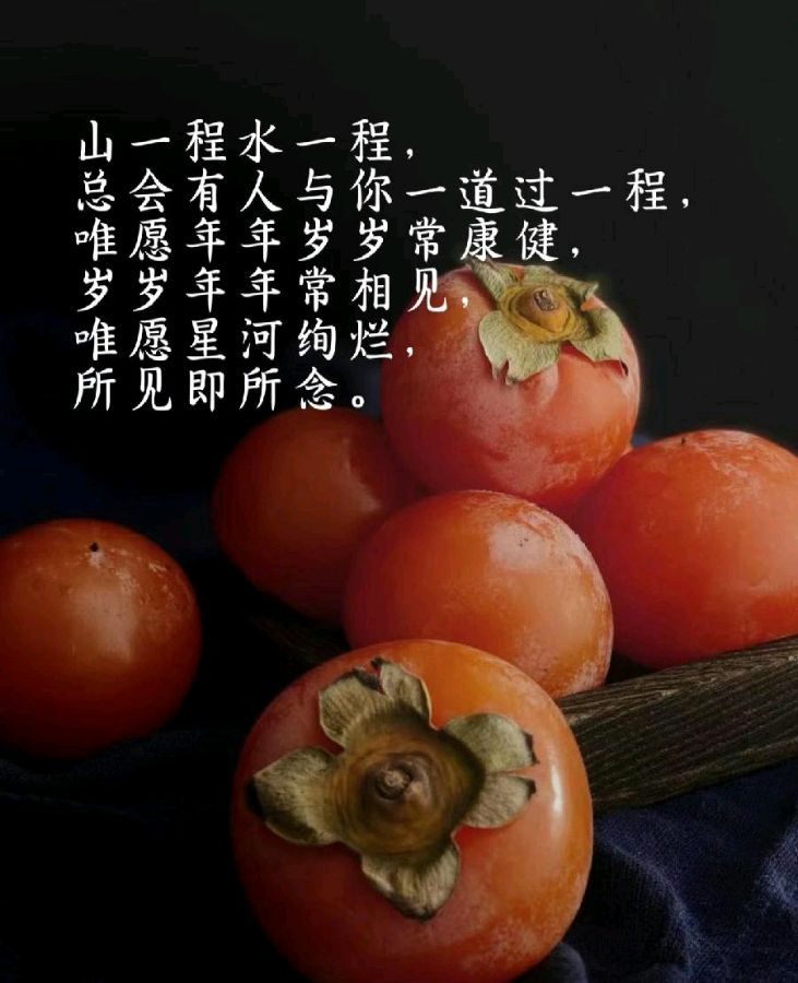 《迎元旦贺诗》作者:桃源国际诗歌文化传媒诗友【桃源国际诗歌文化传媒集团】（图26）