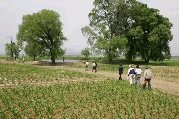 《姻缘》作者/主播/心如大海 审核/李苹 音频制作/楼兰主编/胡琴(图4)