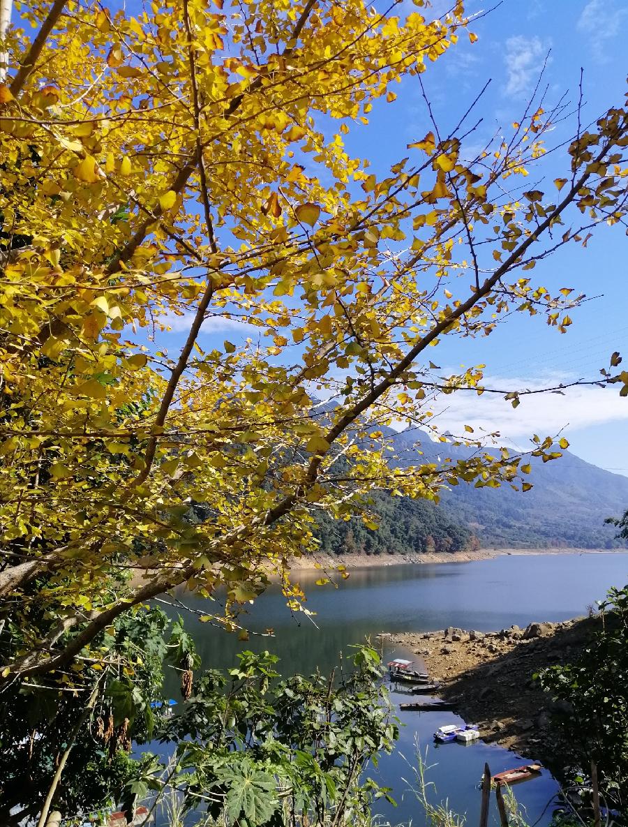 五古 望新年（四首）文／江冲（图2）