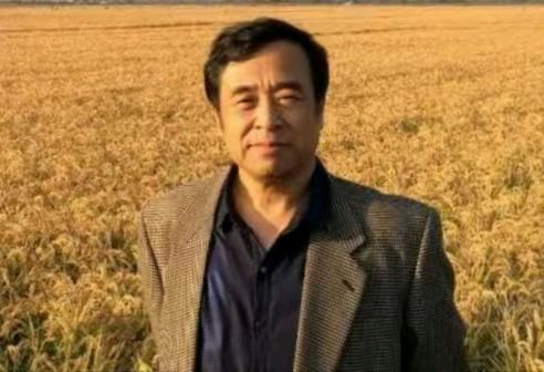 摊破南乡子·岁杪感赋（词林正韵）摊破南乡子·元旦抒怀 （词林正韵） 风静江清（图6）
