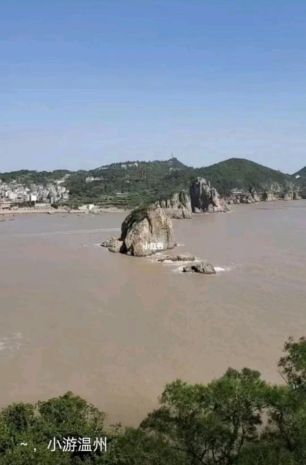 曹绍民的《元旦游温州》